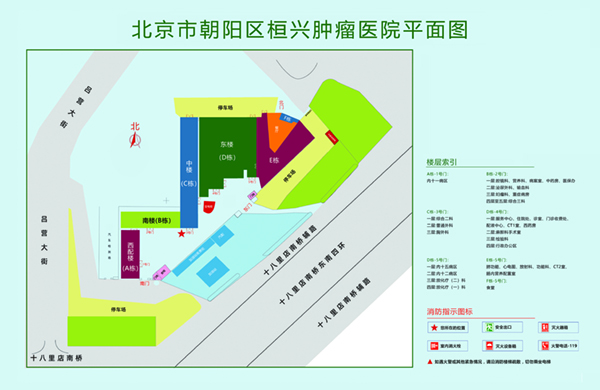 好屌淫在线视频北京市朝阳区桓兴肿瘤医院平面图